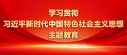 啊哈?骚啊哈学习贯彻习近平新时代中国特色社会主义思想主题教育_fororder_ad-371X160(2)